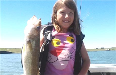 Ivans Guided Walleye Fishing - Black Hawk SD