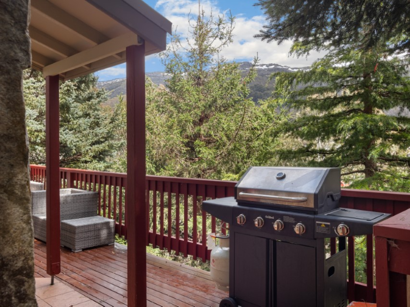 Steins 3C - Thredbo Village