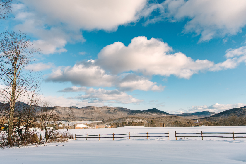 View - Photo by Juniper Studios