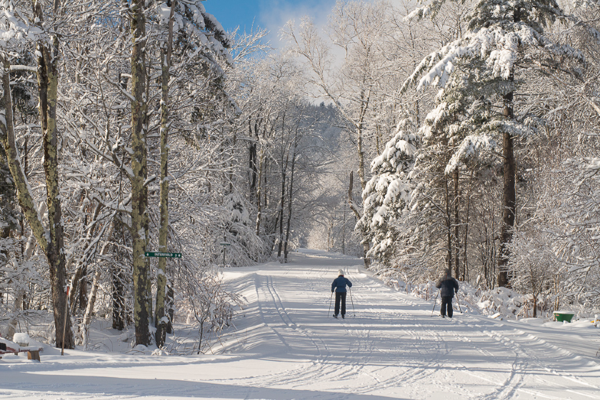 Photo by Joanne Pearson / Fair Haven Photographs