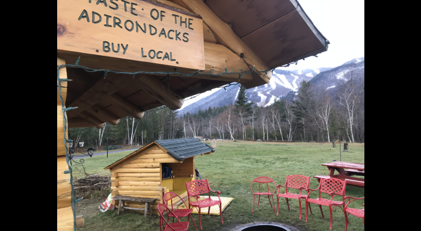 The View From One of Our Adirondack Style Lean-Tos