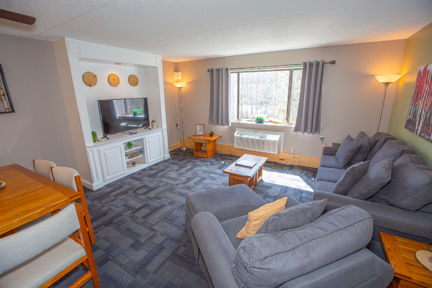 Living area in one of our Den units