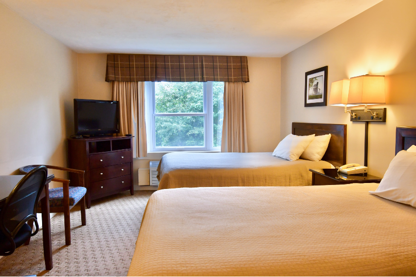 Pet-Friendly Double sleeps 4 humans and up to 2 four-legged friends!