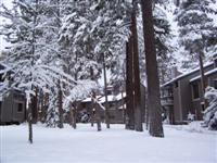 Winter on the grounds